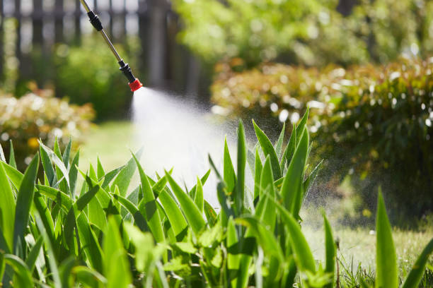 Tamper-Resistant Bait Stations for Rodents in Pittsboro